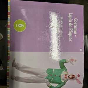 Easter Bunny Costume - Green and White For Adult STANDAR